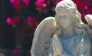 Place aux anges !