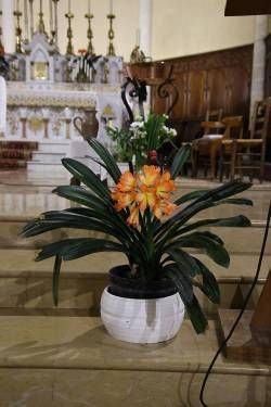 MNRM4526_original_copy_1